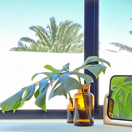 Casa De Flores - Boutique Lanzarote 4* テギセ