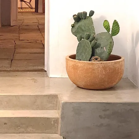 Casa De Flores - Boutique Lanzarote テギセ