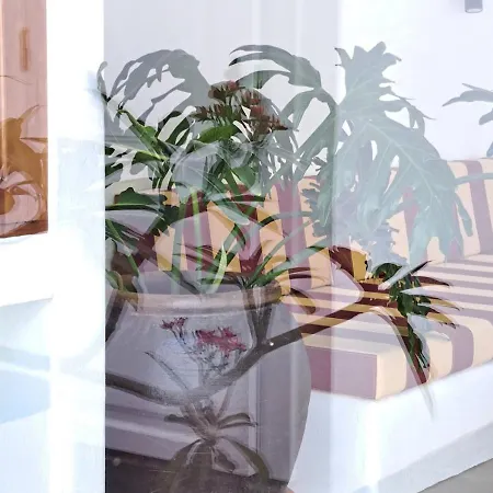 Hotel Casa De Flores - Boutique Lanzarote Teguise (Lanzarote)