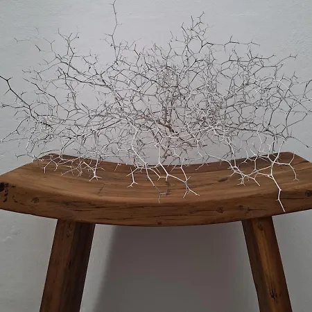 Casa De Flores - Boutique Lanzarote 4* Teguise (Lanzarote)