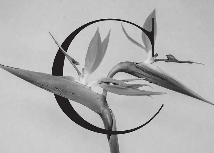 Casa De Flores - Boutique Lanzarote מלון 4*