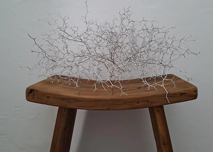 Casa De Flores - Boutique Lanzarote 4* טגיסי