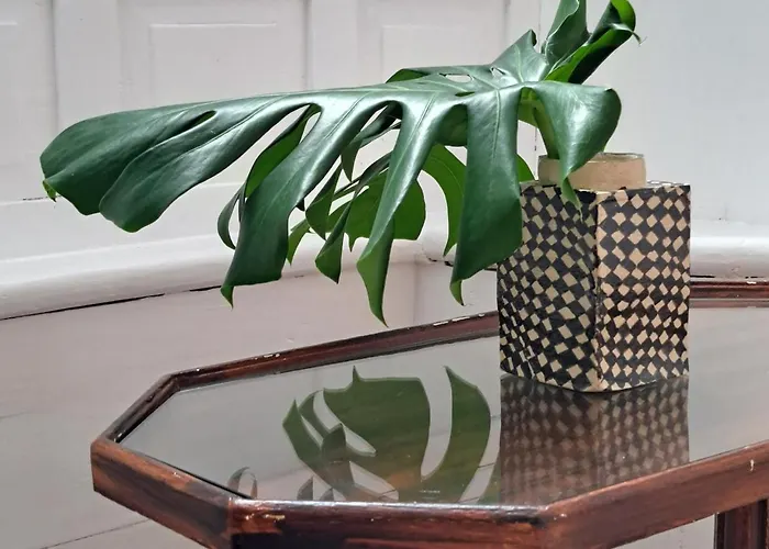 Casa De Flores - Boutique Lanzarote מלון