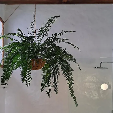 Szálloda Casa De Flores - Boutique Lanzarote