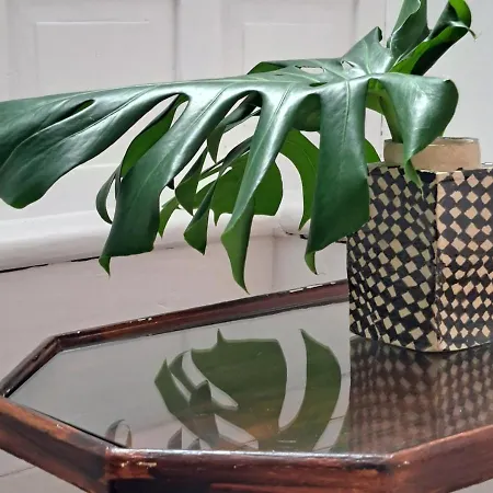 Casa De Flores - Boutique Lanzarote Szálloda
